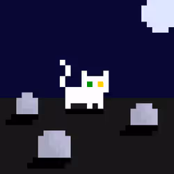 641