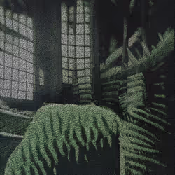 36