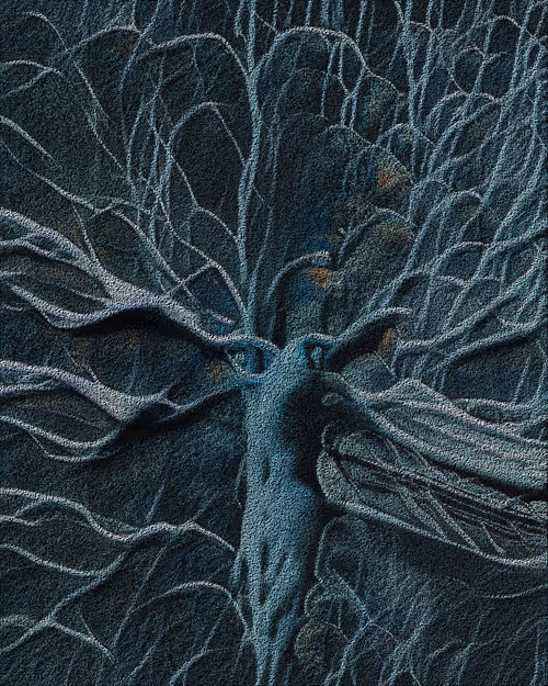 Item #31 Media