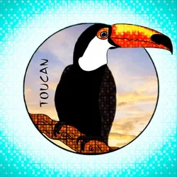 Toucan
