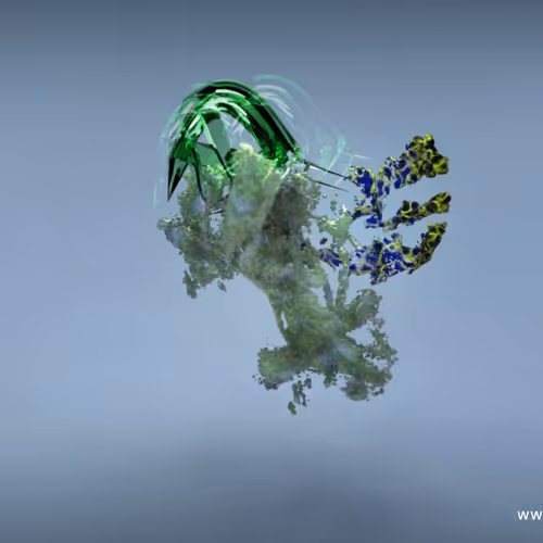 Electron Bird