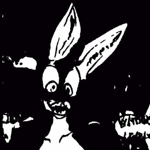 The Bunny in Black + White