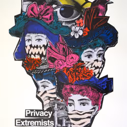 Privacy Extremists