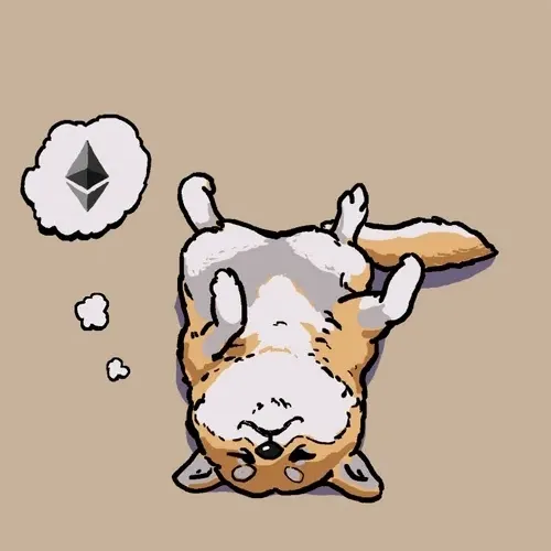 Doge Dream