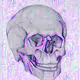 Multicolor vivid skull