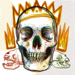 HC-OC43