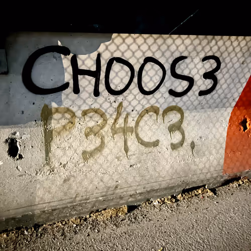 1 C1100s3 P34c3