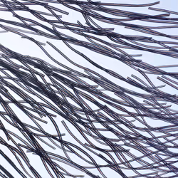 Ornithography #103