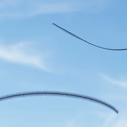 Ornithography #092