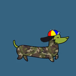 Moondog #4949