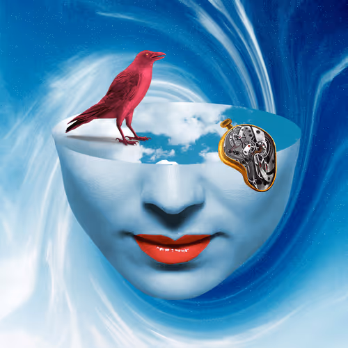 Fragments - sSzSbKQsLB