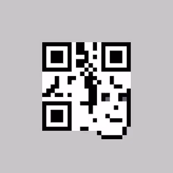 QR Pixels #284