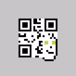 QR Pixels #935