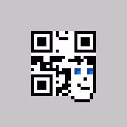 QR Pixels #4563