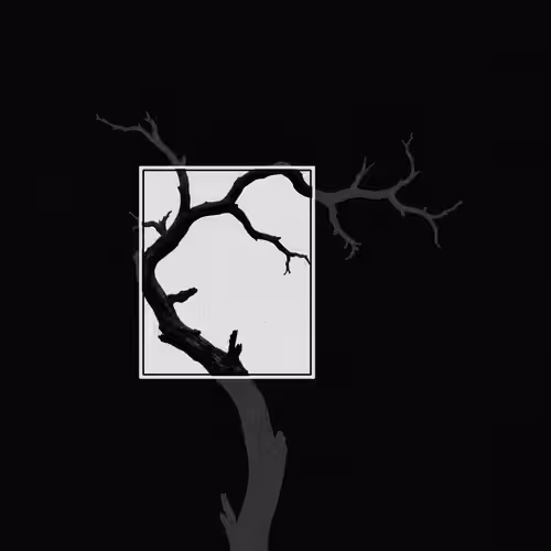 " Windows "