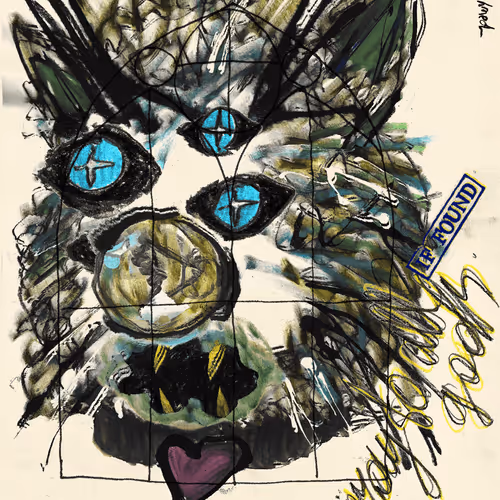 Cash Potter the wankfaced Catsun