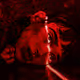 The Crimson Rite Editions