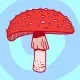 Dirty S3 Fly Agaric