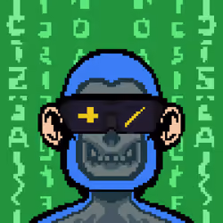 1337 Apes #300
