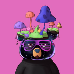 #3499 • Yuppy Crafty Cosmic Cub