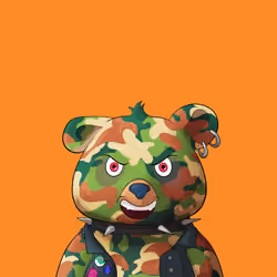 #1647 • Poppy Dodgy Camo Cub