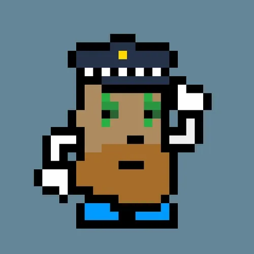 PotatoPunk #1587