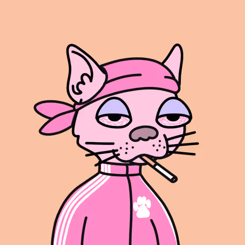 Not A Doodle Cats Nft Project