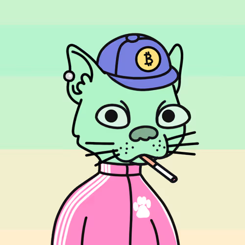 Not A Doodle Cats Nft Project
