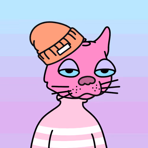 Not A Doodle Cats Nft Project