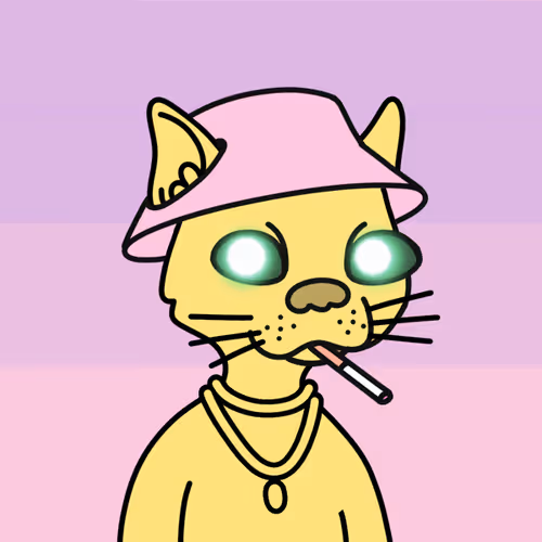 Not A Doodle Cats Nft Project