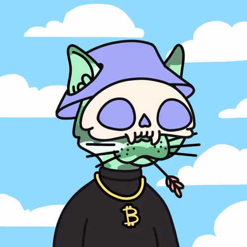 Not A Doodle Cats Nft Project