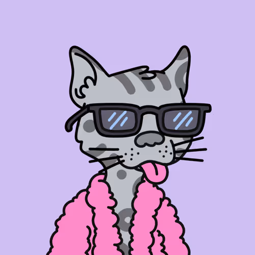 Not A Doodle Cats Nft Project