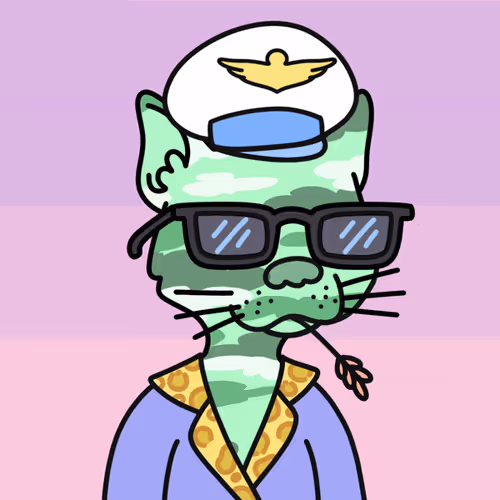 Not A Doodle Cats Nft Project