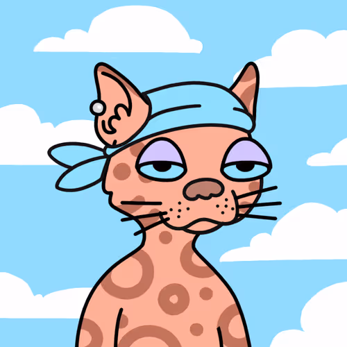 Not A Doodle Cats Nft Project