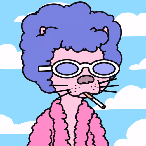 Not A Doodle Cats Nft Project