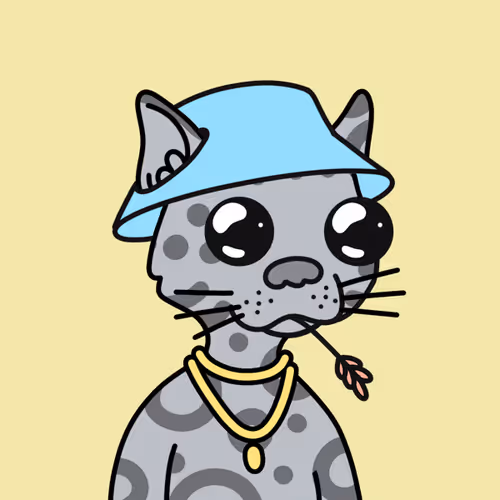 Not A Doodle Cats Nft Project