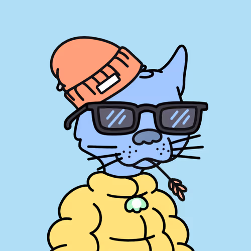 Not A Doodle Cats Nft Project
