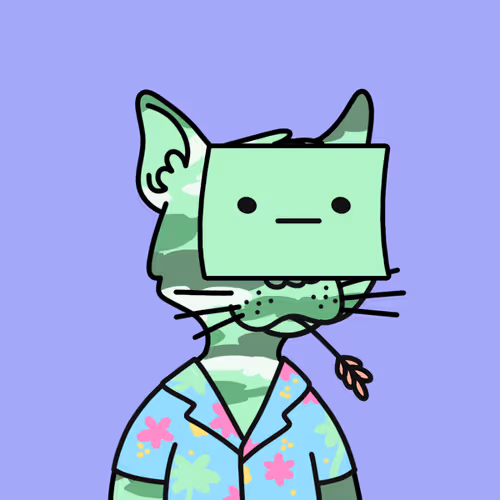 Not A Doodle Cats Nft Project