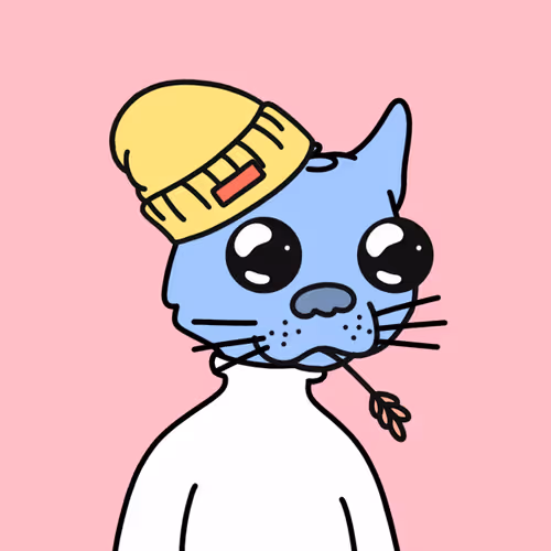 Not A Doodle Cats Nft Project