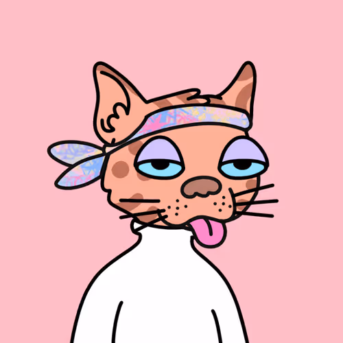 Not A Doodle Cats Nft Project