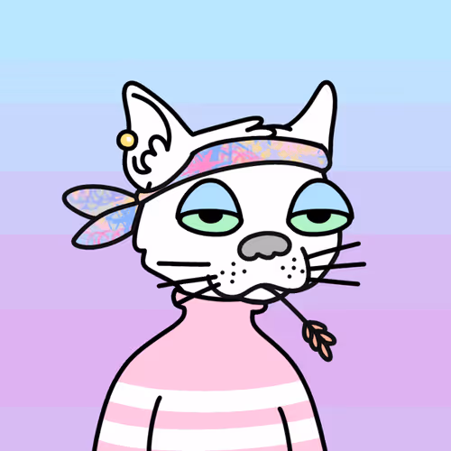 Not A Doodle Cats Nft Project