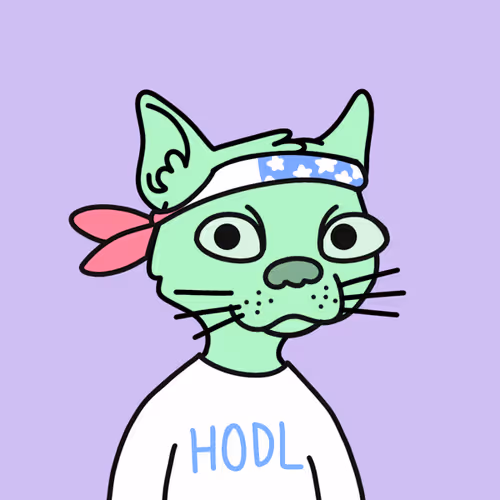 Not A Doodle Cats Nft Project