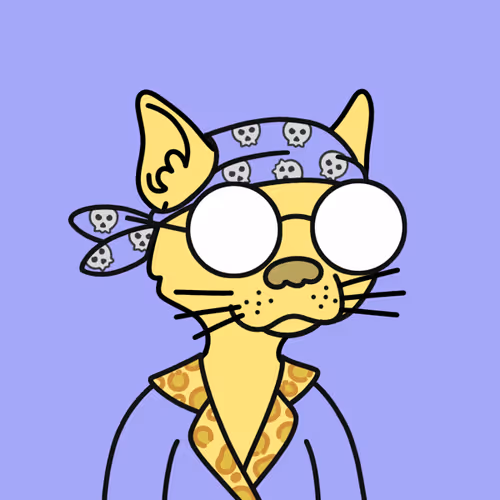 Not A Doodle Cats Nft Project