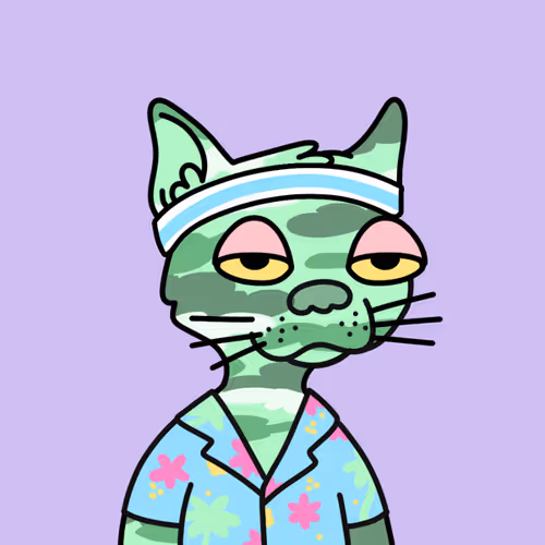 Not A Doodle Cats Nft Project