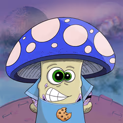 26