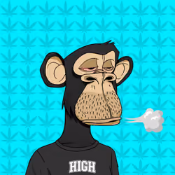 HiGH APE #254