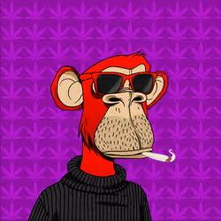 HiGH APE #253