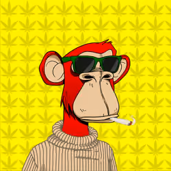 HiGH APE #11