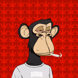 HiGH APE #255