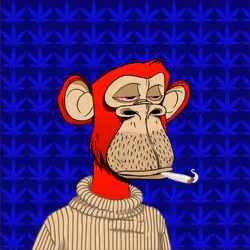 HiGH APE #20